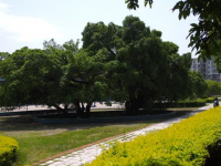贛南師范學(xué)院科技學(xué)院2023年學(xué)費(fèi)、收費(fèi)多少