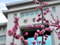 延安大學師范學院楊家?guī)X校區(qū)2023年學費、收費多少