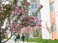 渭南職業(yè)技術師范學院朝陽校區(qū)2023年學費、收費多少