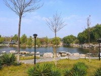 山東財經(jīng)師范大學(xué)圣井校區(qū)歷年錄取分數(shù)線