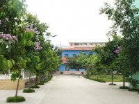 廣西現(xiàn)代職業(yè)技術師范學院2023年招生錄取分數(shù)線