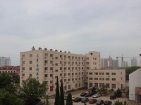 河北對(duì)外經(jīng)貿(mào)師范職業(yè)學(xué)院2023年學(xué)費(fèi)、收費(fèi)多少