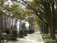 江西農(nóng)業(yè)師范大學(xué)南昌商學(xué)院南昌校區(qū)歷年錄取分?jǐn)?shù)線(xiàn)