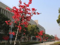 南昌工程師范學(xué)院2020年招生錄取分?jǐn)?shù)線(xiàn)
