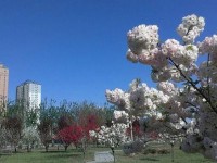 河北正定師范高等專科學(xué)校2023年招生錄取分數(shù)線
