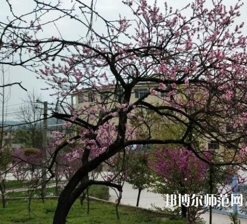 貴陽中華幼師職業(yè)學校2023年怎么樣、好不好