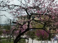 貴陽中華幼師職業(yè)學(xué)校2023年怎么樣、好不好
