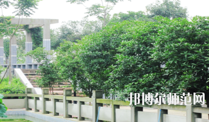 德陽(yáng)通用電子科技幼兒師范學(xué)校2020年報(bào)名條件、招生要求、招生對(duì)象
