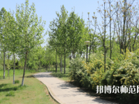 石家莊中英航空幼兒師范中等專業(yè)學(xué)校2023年怎么樣、好不好