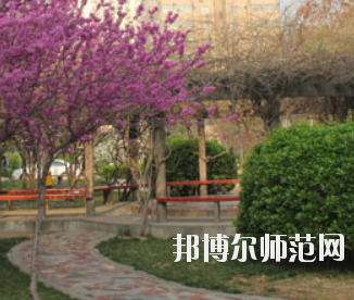 鄭州2020年幼師學?？梢詫W什么