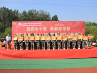 石家莊幼兒師范高等?？茖W(xué)校2023年是幾專