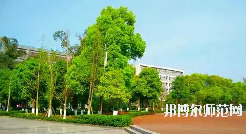 重慶市九龍坡幼師職業(yè)教育中心怎么樣、好不好。