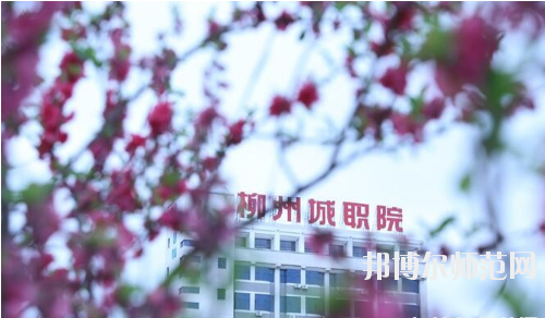 柳州城市職業(yè)師范學院怎么樣、好不好
