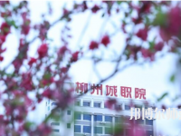 柳州城市職業(yè)師范學(xué)院2023年怎么樣、好不好