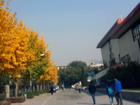 西北師范大學(xué)2023年學(xué)費、收費多少