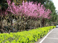 大同師范高等?？茖W(xué)校2023年招生錄取分?jǐn)?shù)線