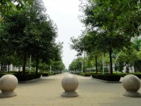 廣西現(xiàn)代職業(yè)技術(shù)師范學(xué)院2023年報(bào)名條件、招生要求、招生對(duì)象