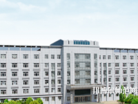 黑龍江幼兒師范高等?？茖W(xué)校2023年招生代碼