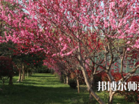 河南科技職業(yè)師范大學(xué)2023年怎么樣、好不好