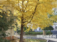 北京京北職業(yè)師范技術學院2023年報名條件、招生要求、招生對象