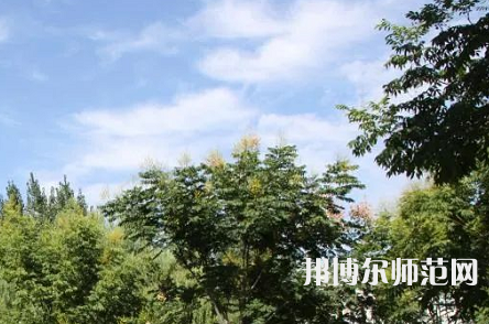 漯河職業(yè)技術師范學院2023年招生代碼
