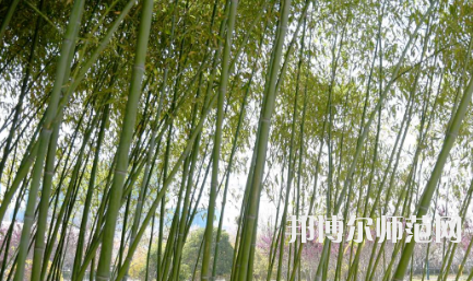 周口職業(yè)技術(shù)師范學(xué)院開元校區(qū)2023年報(bào)名條件、招生要求、招生對象