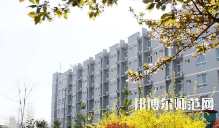 周口職業(yè)技術(shù)師范學(xué)院開元校區(qū)2023年怎么樣、好不好