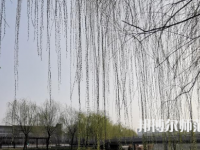 鶴壁職業(yè)技術(shù)師范學(xué)院2023年怎么樣、好不好