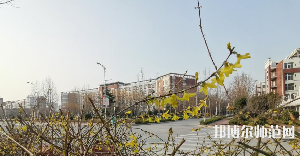 鶴壁職業(yè)技術(shù)師范學(xué)院2023年報(bào)名條件、招生要求、招生對(duì)象