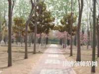 濮陽(yáng)職業(yè)技術(shù)師范學(xué)院2023年報(bào)名條件、招生要求、招生對(duì)象