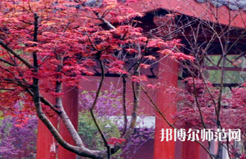 駐馬店師范職業(yè)技術(shù)學(xué)院2023年怎么樣、好不好