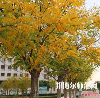榆林職業(yè)技術師范學院2023年怎么樣、好不好