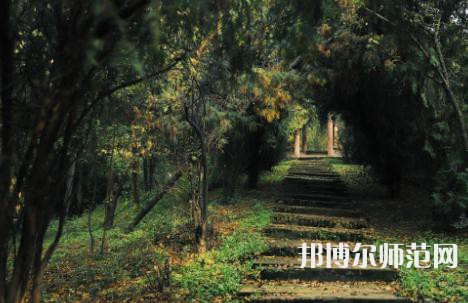 延安大學(xué)西安創(chuàng)新師范學(xué)院2023年怎么樣、好不好