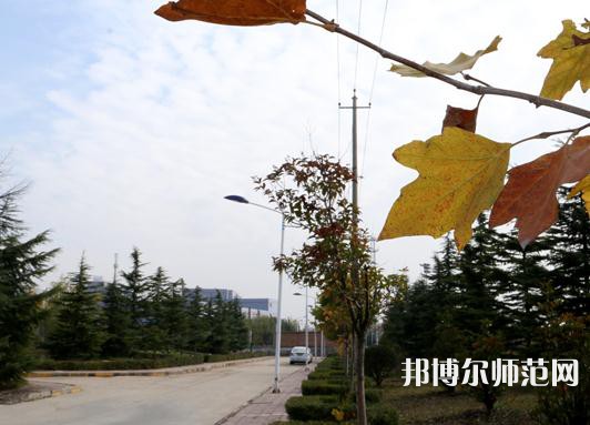 陜西職業(yè)技術(shù)師范學(xué)院2023年報(bào)名條件、招生要求、招生對(duì)象 