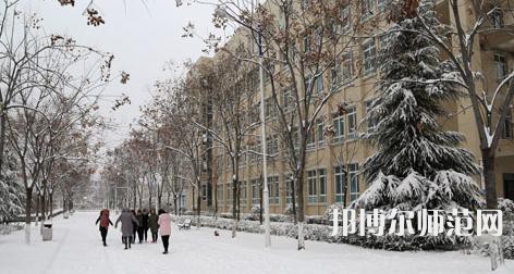 商洛職業(yè)技術(shù)師范學(xué)院2023年學(xué)費(fèi)、收費(fèi)多少