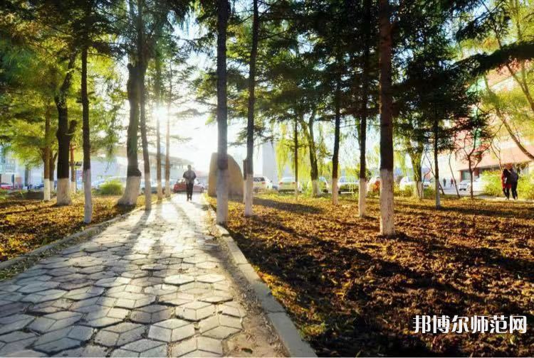 長春大學師范學院主校區(qū)2023年報名條件、招生要求、招生對象