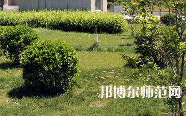 安陽幼兒師范高等?？茖W(xué)校歷年招生錄取分?jǐn)?shù)線