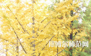 信陽(yáng)師范學(xué)院2023年怎么樣、好不好