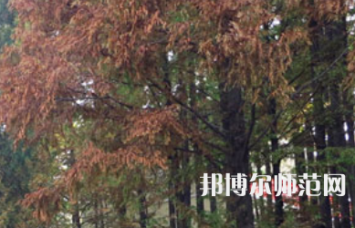 信陽(yáng)師范學(xué)院2023年怎么樣、好不好