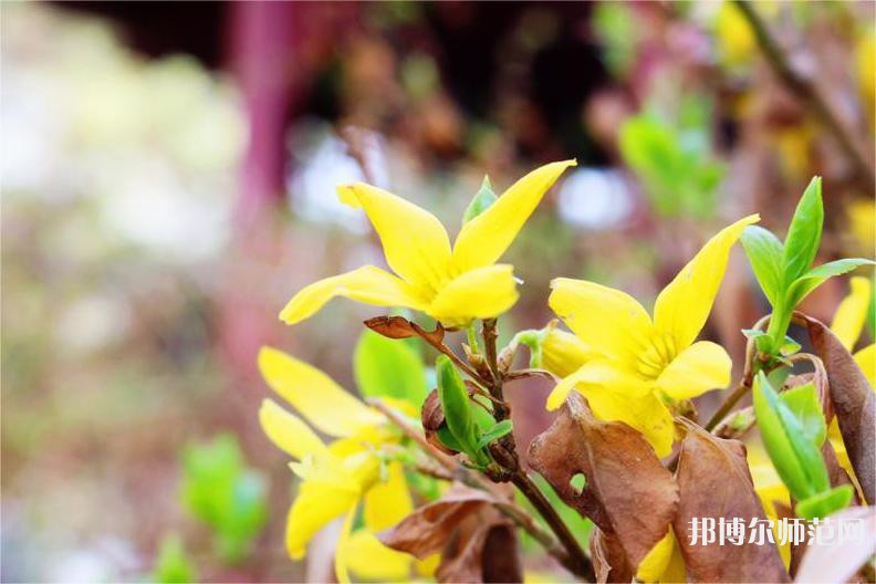 長春理工師范大學(xué)2023年怎么樣、好不好