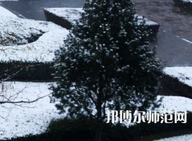 焦作師范高等?？茖W(xué)校2023年報(bào)名條件、招生要求、招生對(duì)象