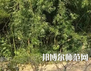 湖南理工師范學(xué)院南湖學(xué)院2023年怎么樣、好不好