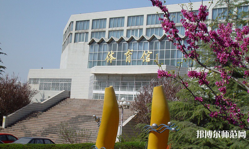 山東財經(jīng)師范大學圣井校區(qū)2023年報名條件、招生要求、招生對象 