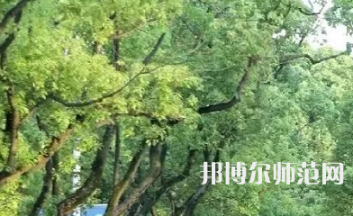 湖南理工師范學(xué)院南湖學(xué)院2023年報名條件、招生要求、招生對象