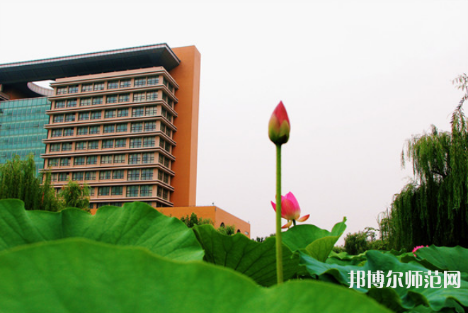 東營職業(yè)師范學院2023年有哪些專業(yè) 
