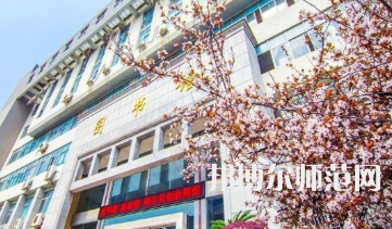 南華師范大學雨母校區(qū)2023年報名條件、招生要求、招生對象