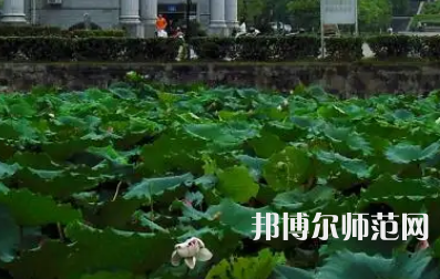 南華師范大學(xué)紅湘校區(qū)2023年報名條件、招生要求、招生對象