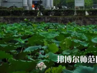南華師范大學(xué)紅湘校區(qū)2023年報名條件、招生要求、招生對象