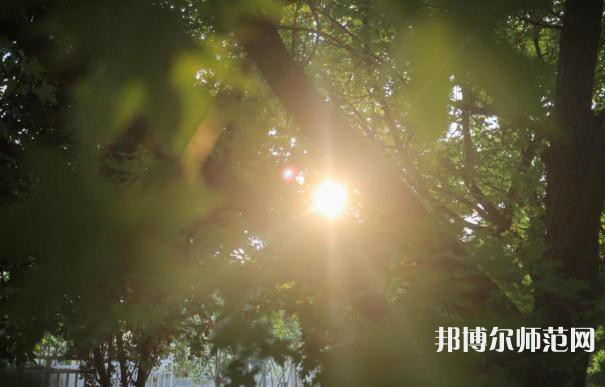 咸陽職業(yè)技術(shù)師范學(xué)院2023年報(bào)名條件、招生要求、招生對(duì)象