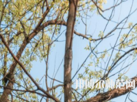 湖南大學師范學院南校區(qū)2023年怎么樣、好不好